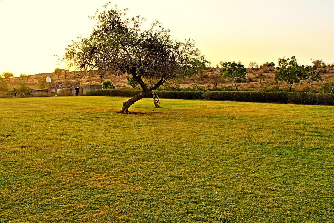Sanchal Fort Barmer Exterior photo